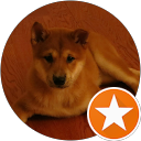 Tony profile picture